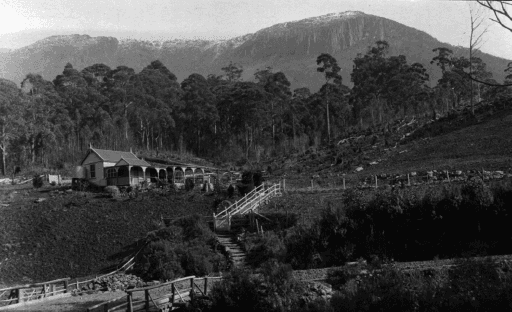 A view of Ridgeway, Mt Wellington, 1910, Tasmanian Archives