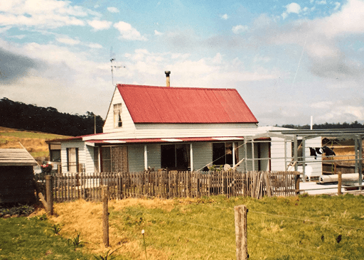 Irishtown, Irishtown - image 1