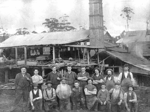 Employees at Sawmill in Leprena, Tasmanian Archives